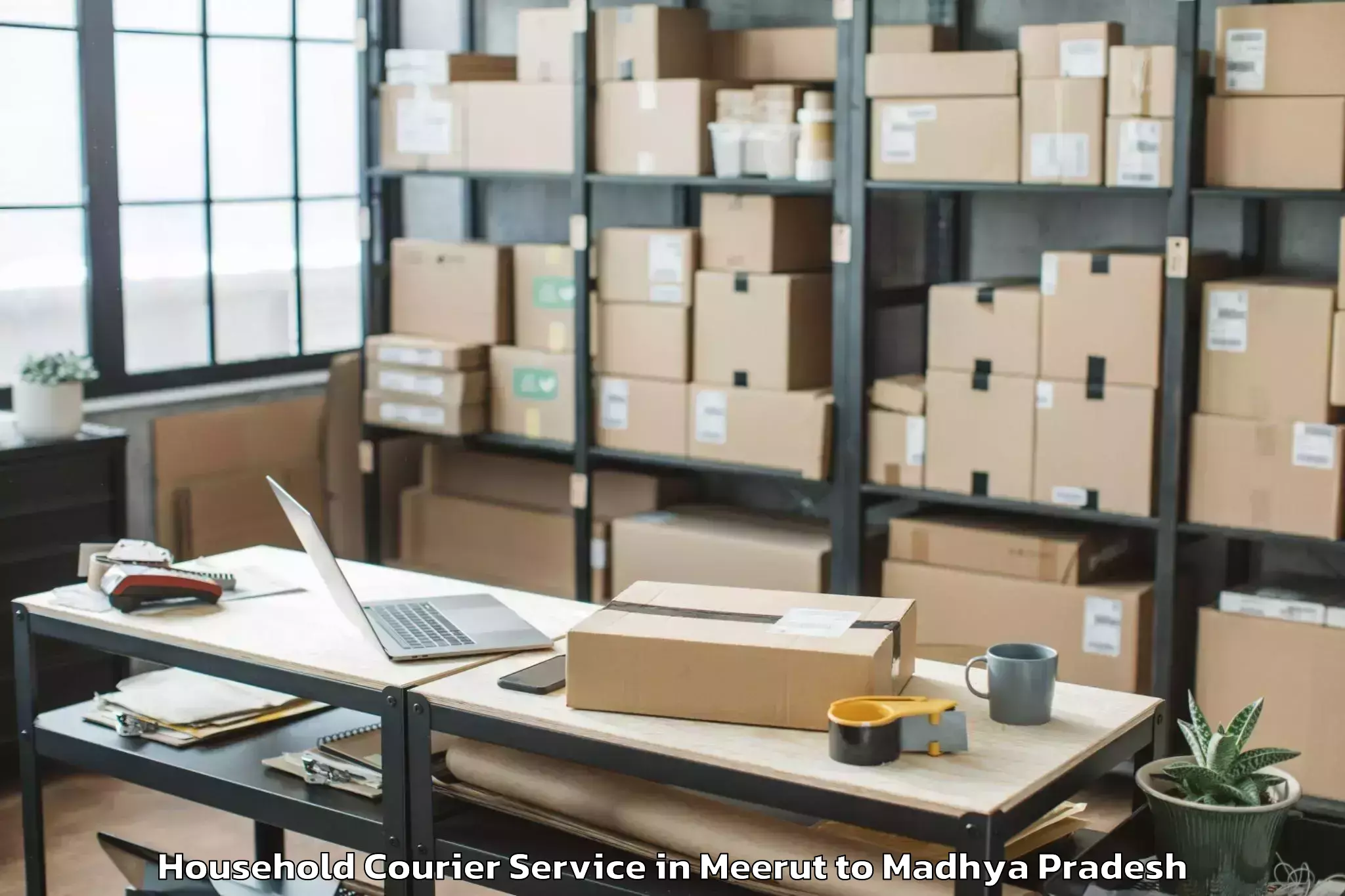 Meerut to Lodhikheda Household Courier Booking